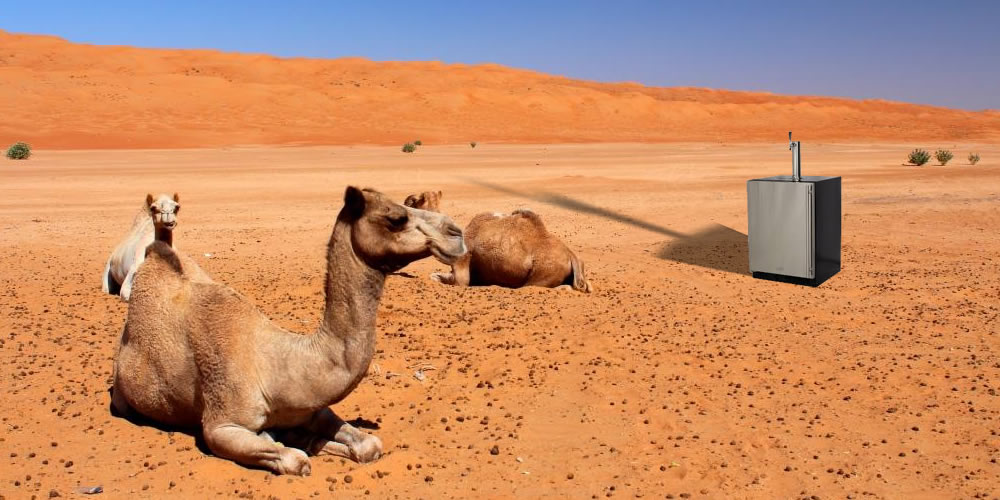 Kegerator in Saudi Arabia