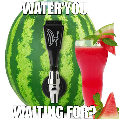 liquor kegerator